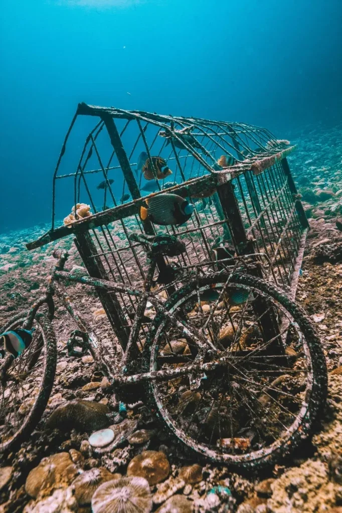 Try Scuba Diving in Gili Trawangan — Course image 4