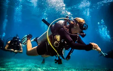 Shallow wreck and reef, beginner-friendly
