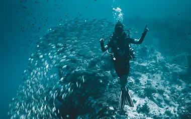 Advanced drift, pelagics and currents